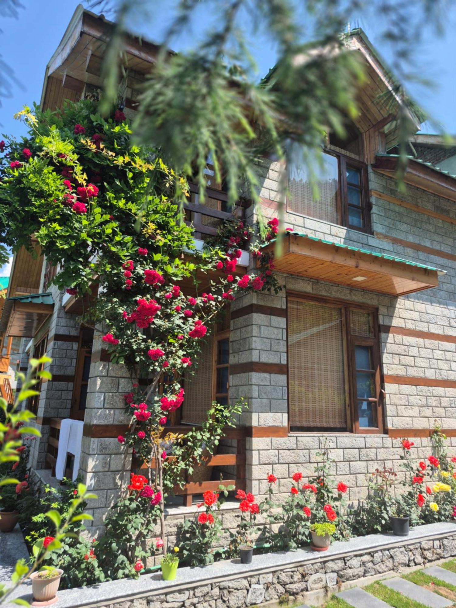 The Green Mountain Lodge - Manali (Himachal Pradesh) — Photos 2