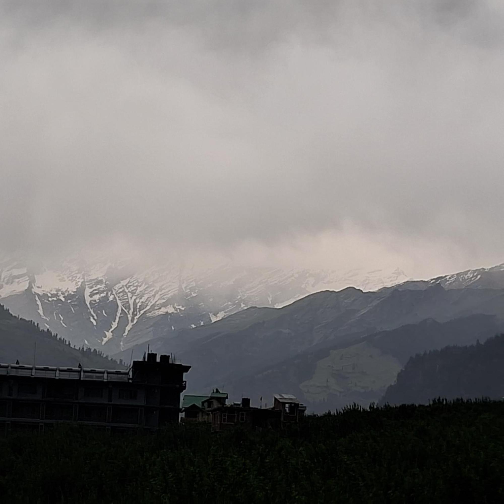 The Green Mountain Lodge - Manali (Himachal Pradesh) — Photos 3